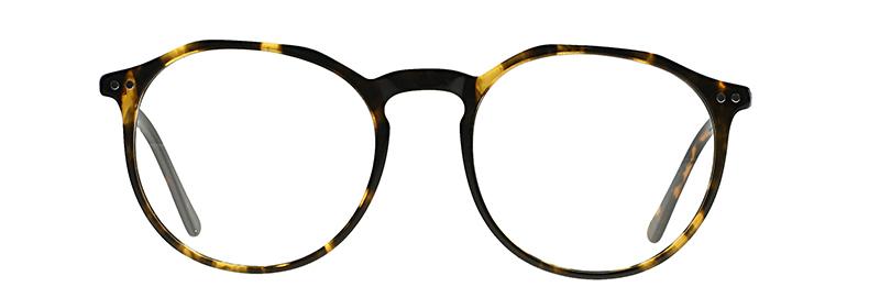 Armazón FL SL3055 ACETATO