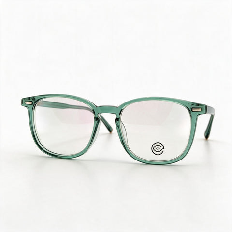 Armazón FL HD5028 ACETATO/METAL/FLEX