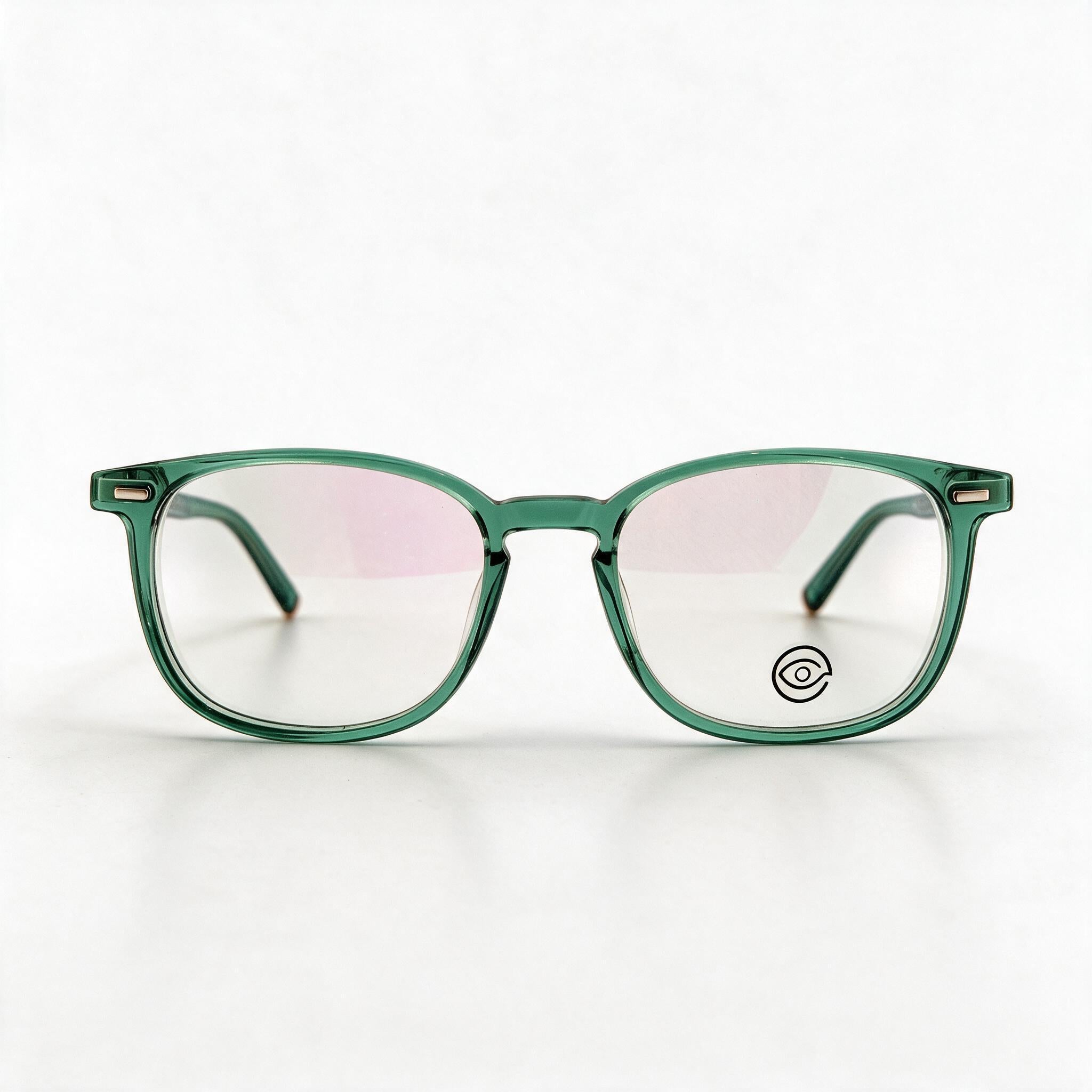 Armazón FL HD5028 ACETATO/METAL/FLEX