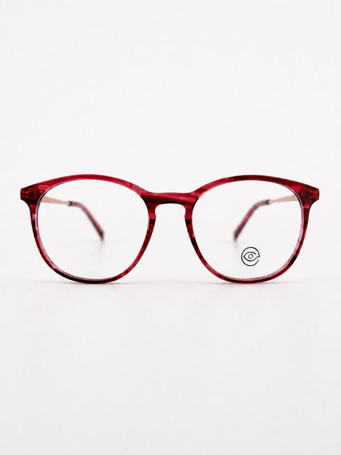 Armazón FL R1017 ACETATO/METAL