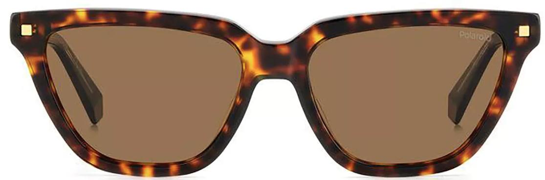 Lentes de sol POLAROID PLD 4157/S/X ACETATO