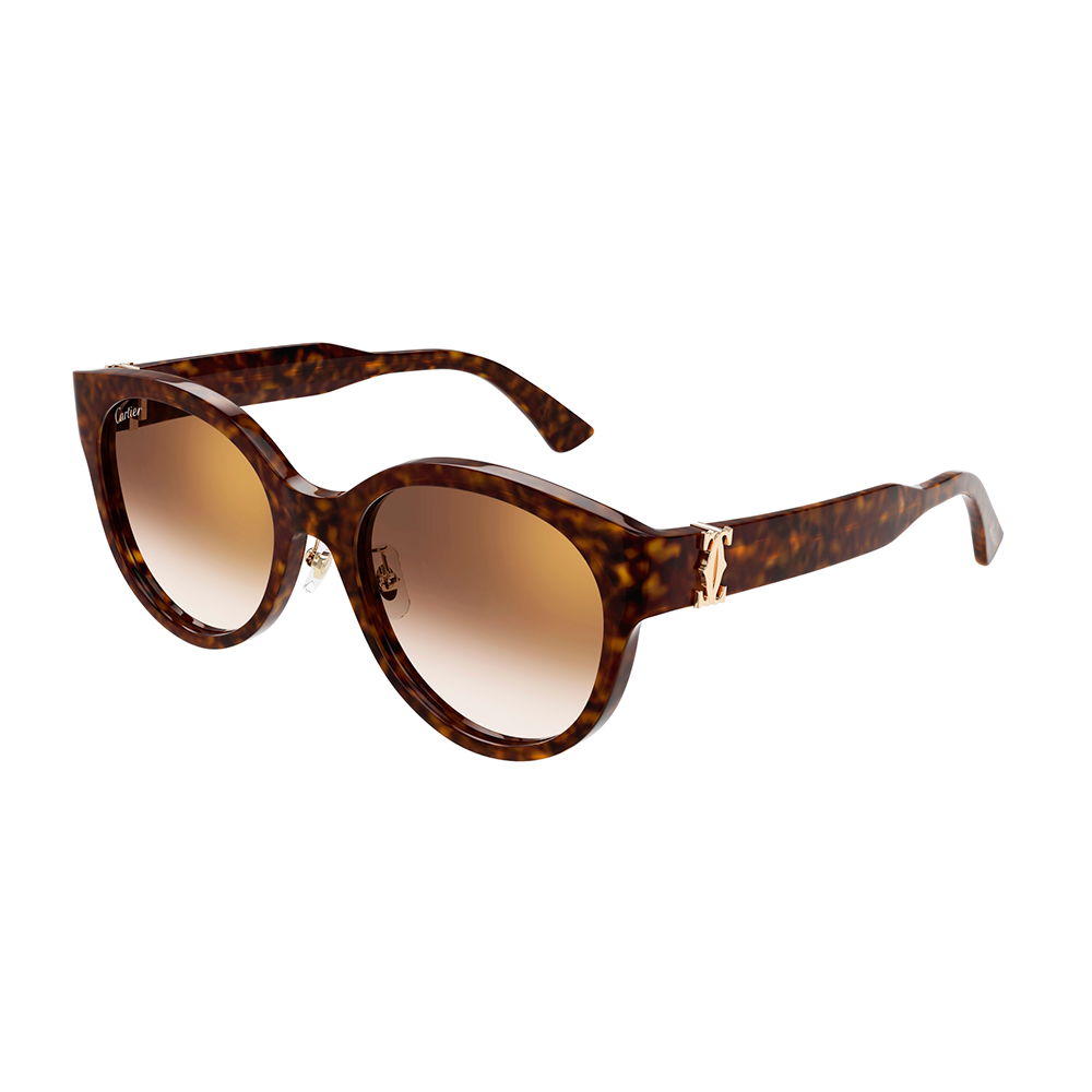 Lentes de sol CARTIER CT0510SJ ACETATO