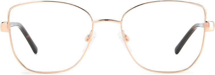 Armazón PIERRE CARDIN P.C.8873 METAL