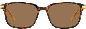 Lentes de sol POLAROID PLD 4169/G/S/X ACETATO