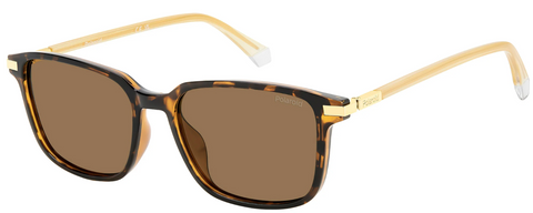 Lentes de sol POLAROID PLD 4169/G/S/X ACETATO