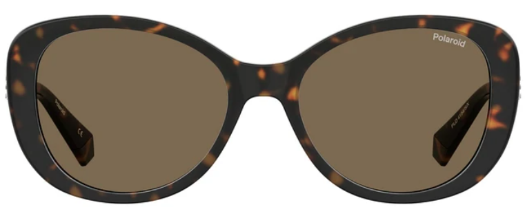 Lentes de sol POLAROID PLD 4154/S/X ACETATO